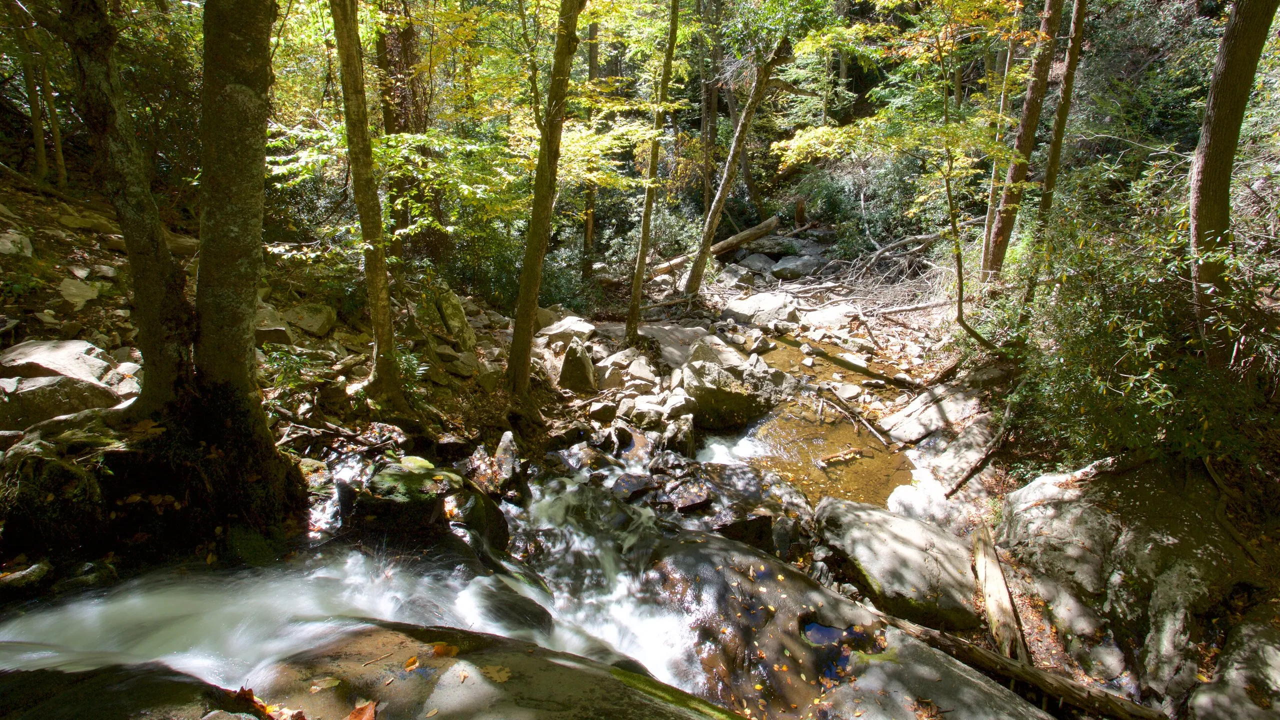 Laurel Falls waterfall cascading over rocks in Great Smoky Mountains